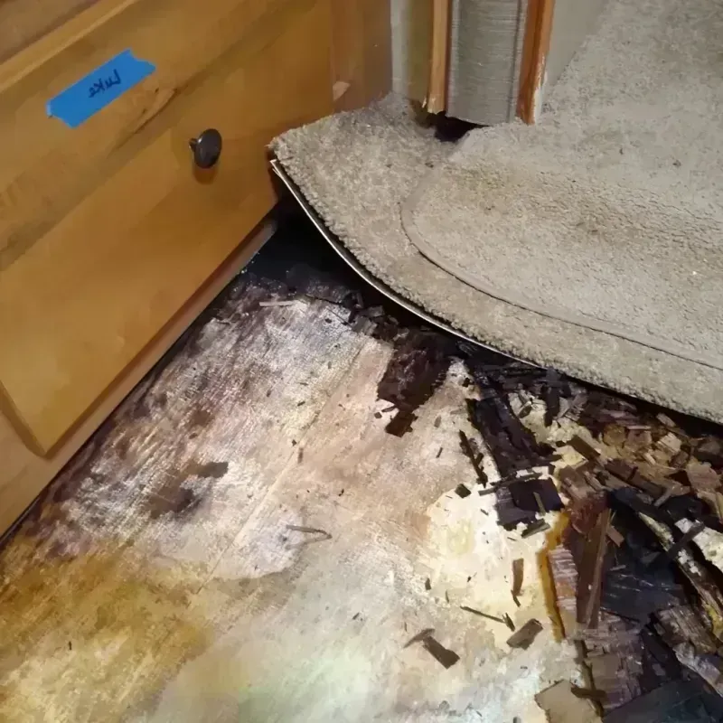 Wood Floor Water Damage in Greenfield, MN